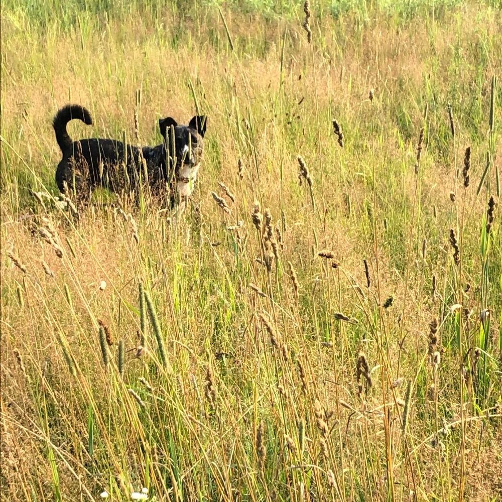 Meet your Posher, Tracey